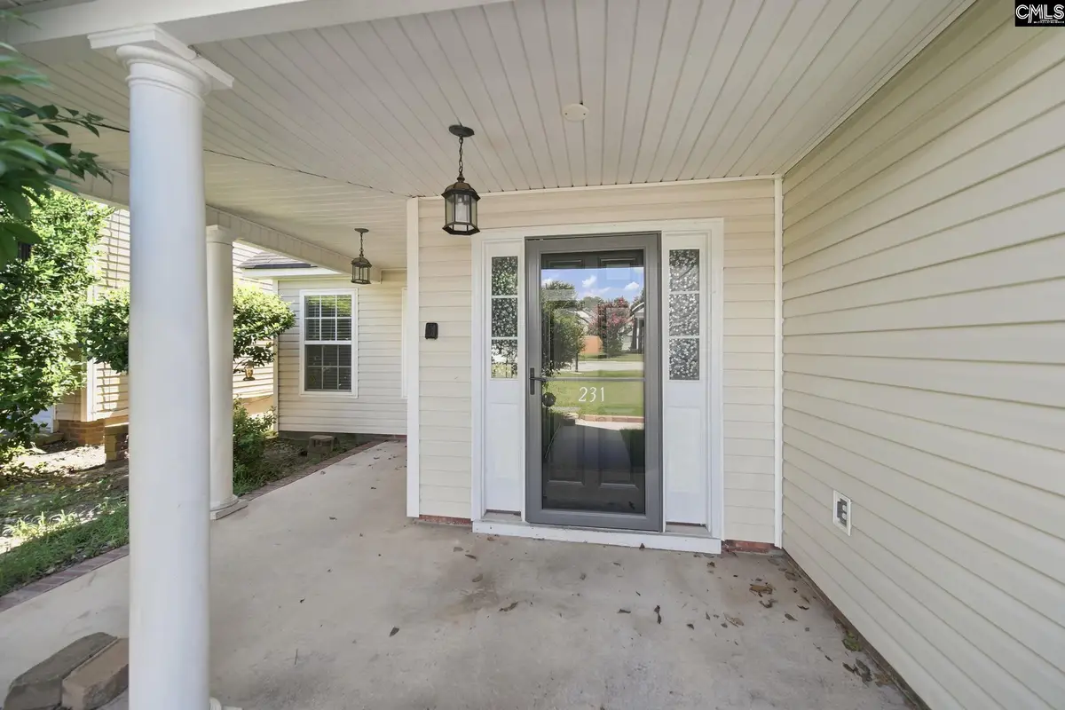 231 Cinnamon Hills Lane, Lexington, SC 29072 - #1