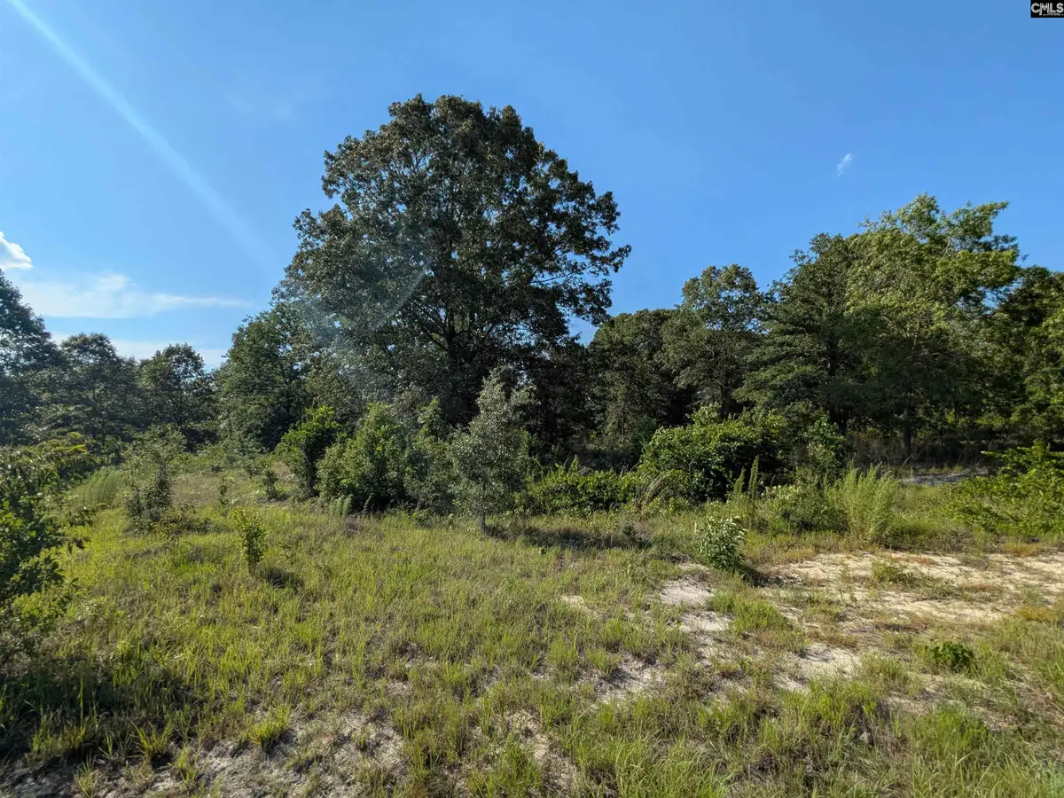 Hound Hollow Road, Camden, SC 29020 - #1