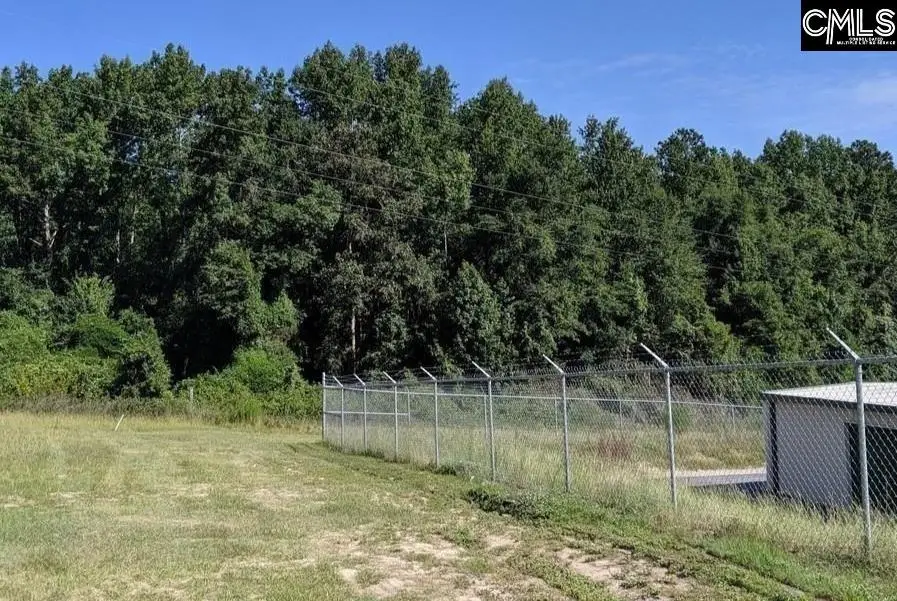 2232 Highway 1 South Highway, Elgin, SC 29045 - #3