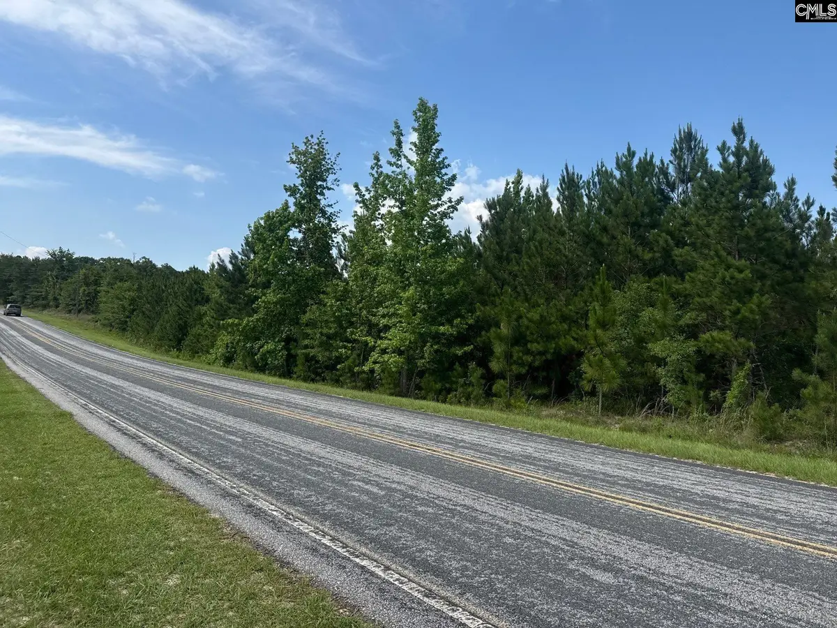 MPF 3 State Rd S-28-31 Road, Jefferson, SC 29718 - #1