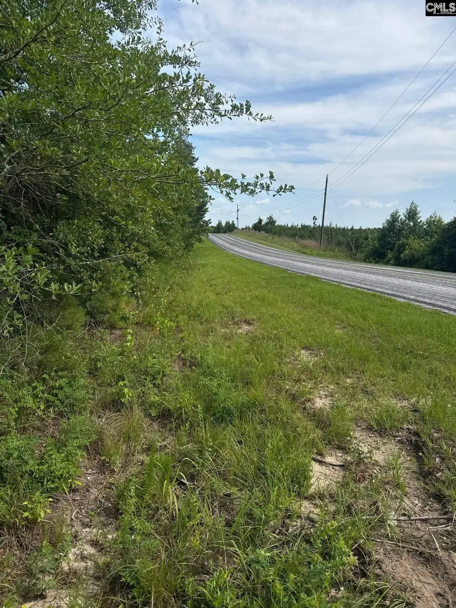 MPF 3 State Rd S-28-31 Road, Jefferson, SC 29718 - #3