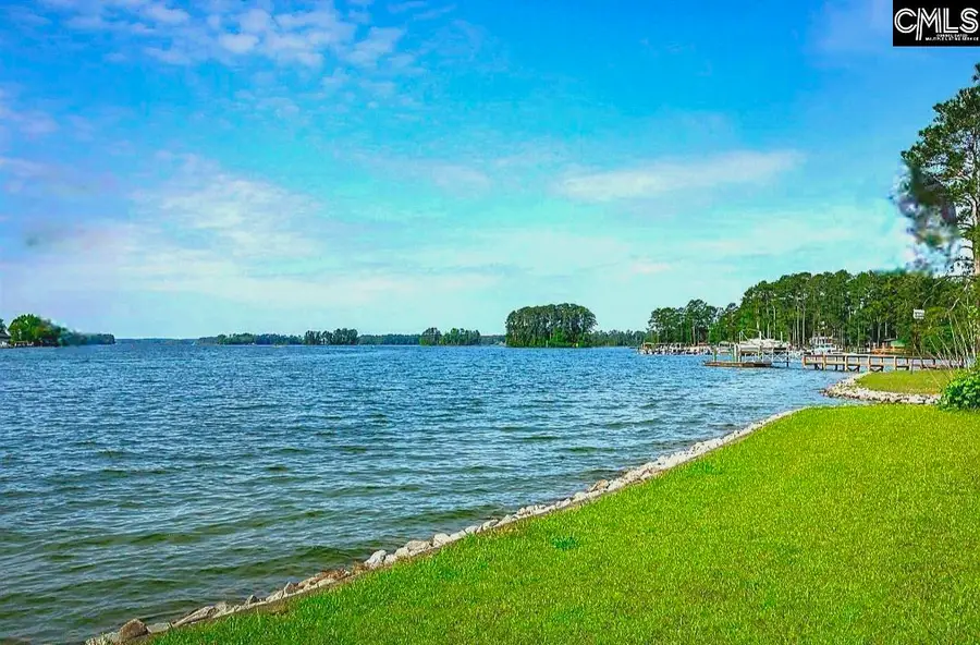 748 Crystal Lake Circle #Lot 3, Chapin, SC 29036 - #3