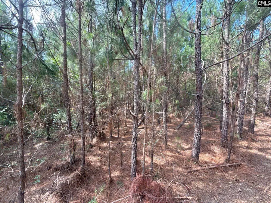 MPF 4 State Rd S-28-31 Road, Jefferson, SC 29718 - #3