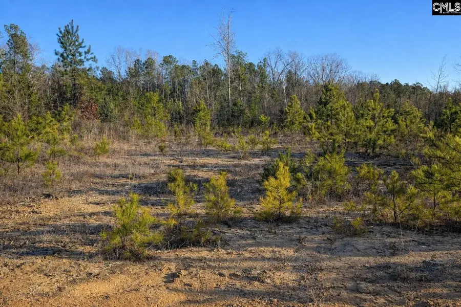 7884 Winnsboro Road, Columbia, SC 29203 - #3