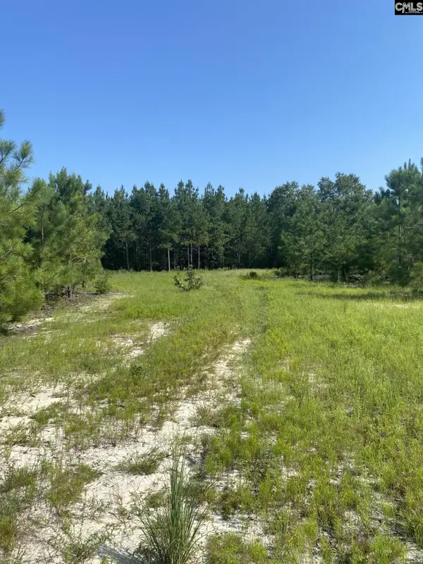 3109 Arcadia Road, Bethune, SC 29009