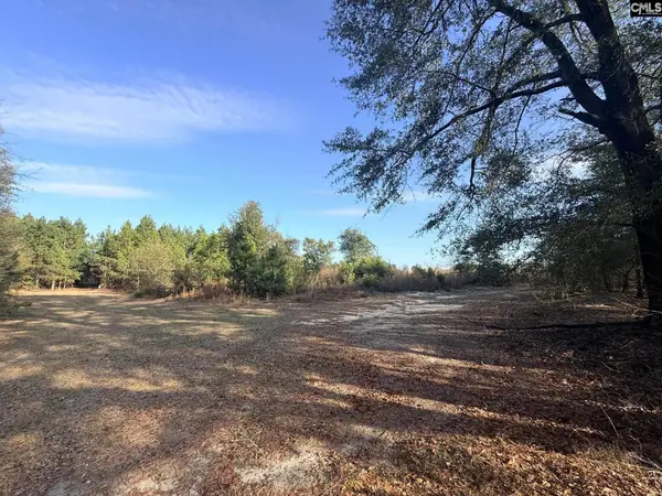 0 Festival Trail Road, Salley, SC 29137