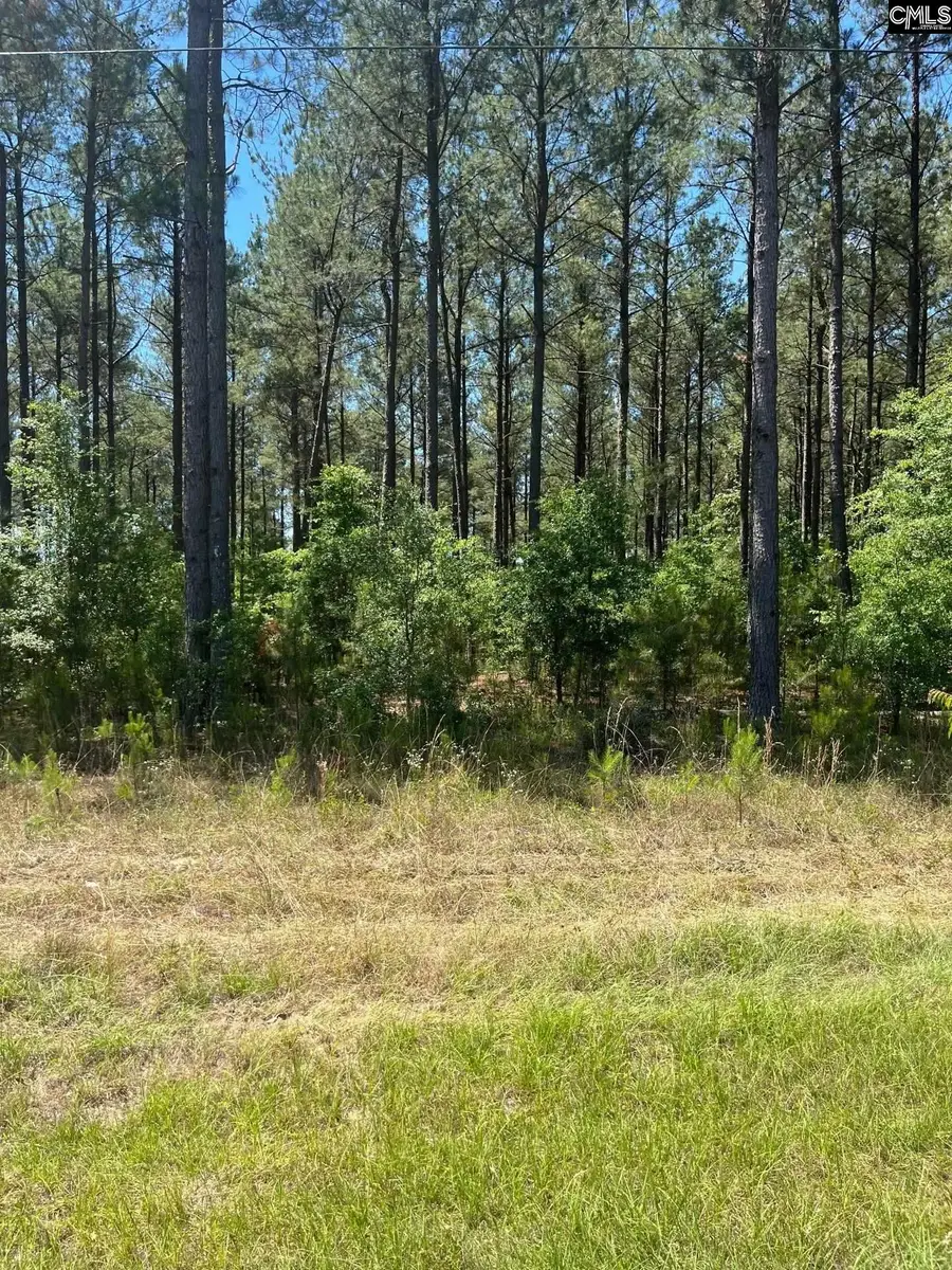 SDA 1 Salley Road, Salley, SC 29137 - #2