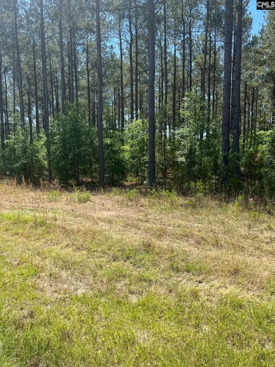 SDA 1 Salley Road, Salley, SC 29137 - #3