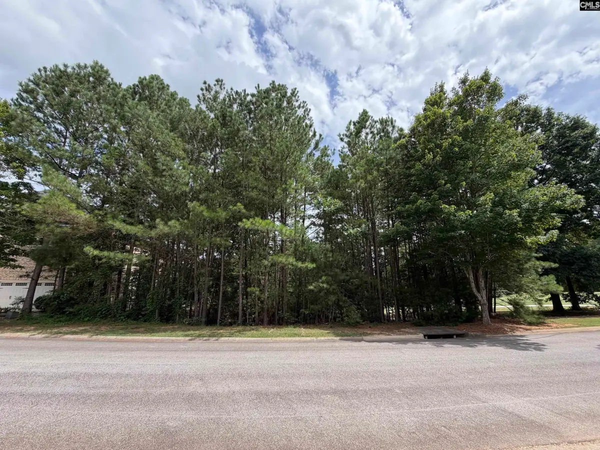122 Peppermint Lane, Blythewood, SC 29016 - #1