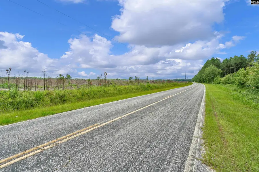 0000 June Burn Road, Manning, SC 29102 - #2
