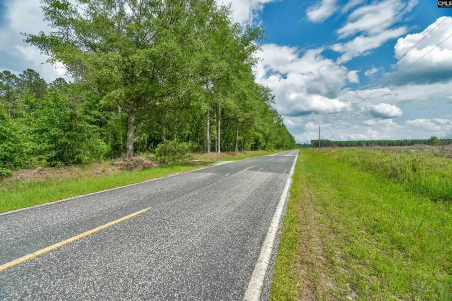 0000 June Burn Road, Manning, SC 29102 - #3