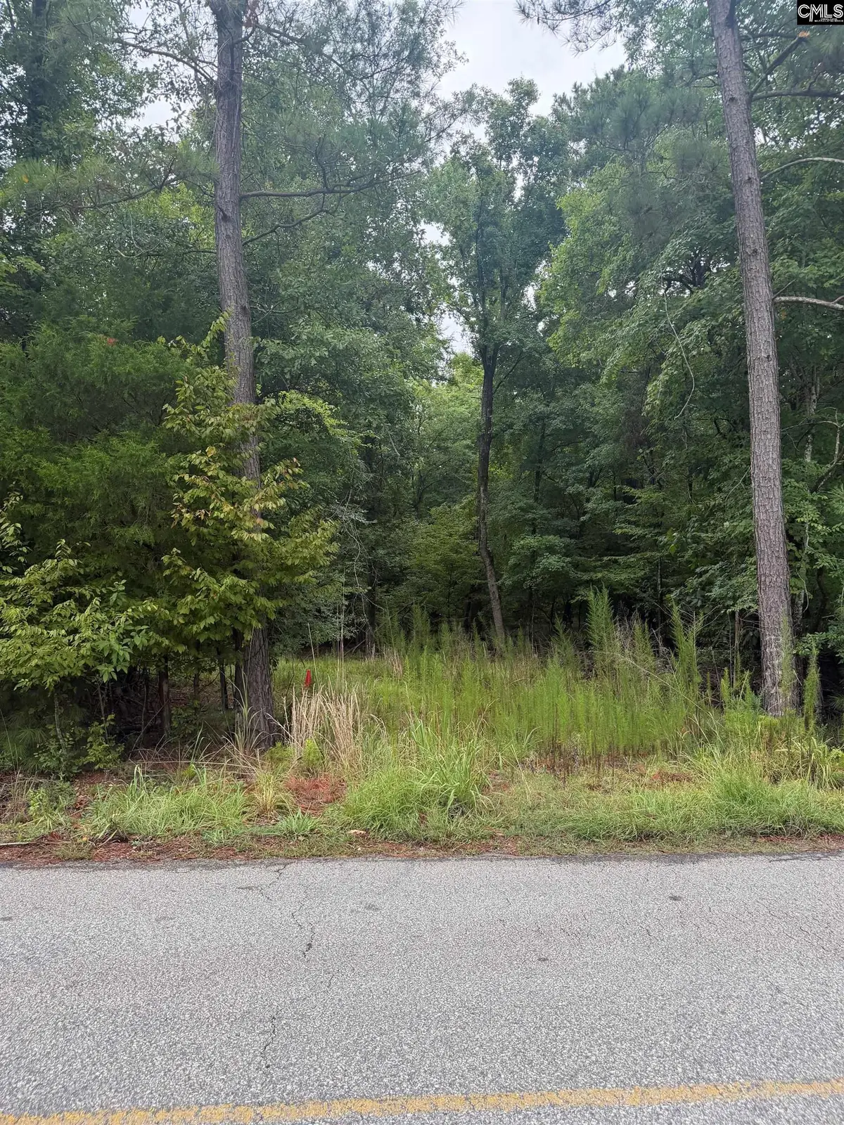 0 Newberry Shores Drive, Prosperity, SC 29127 - #1