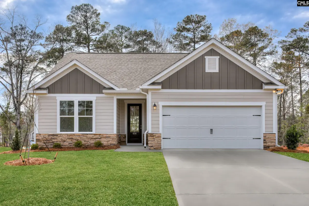 717 Feldspar Court, Chapin, SC 29036 - #1