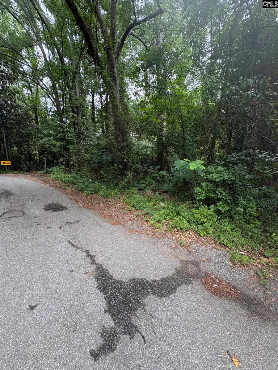4805 Barber Street #vacant lot, Columbia, SC 29203 - #3