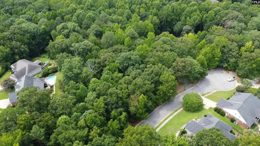 221 Leventis Lane, Lexington, SC 29072 - #2