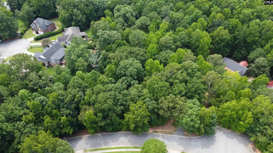 221 Leventis Lane, Lexington, SC 29072 - #3