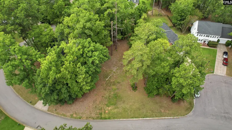 105 Oak Trace Court, Chapin, SC 29036 - #3