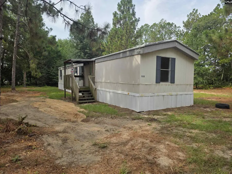 132 Elijah Lane, Pelion, SC 29123 - #2