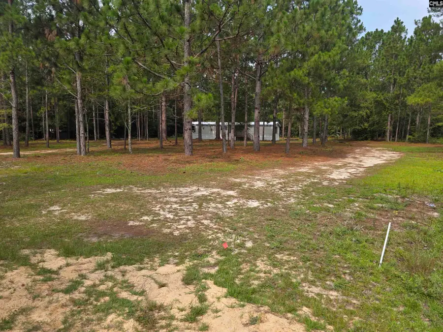 132 Elijah Lane, Pelion, SC 29123 - #3