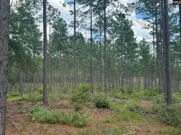 Beaver Creek Road, Swansea, SC 29160