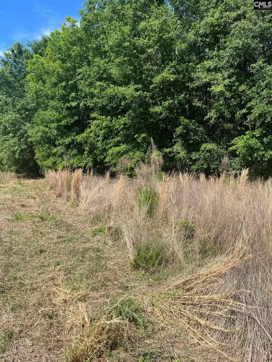 SDA 7 Salley Road, Salley, SC 29137 - #3