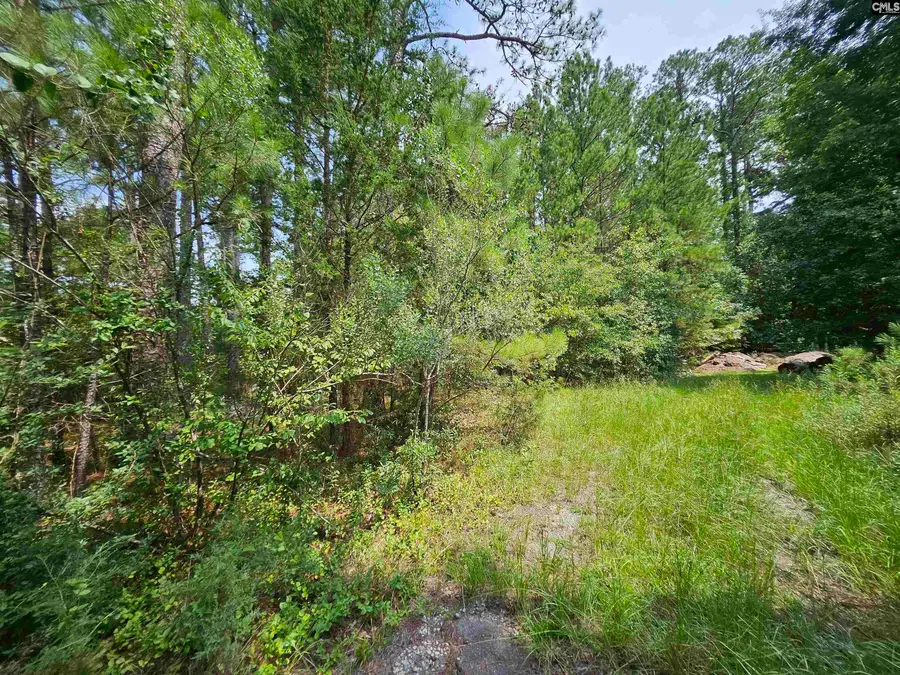 5325 Bush River Road, Columbia, SC 29212 - #3