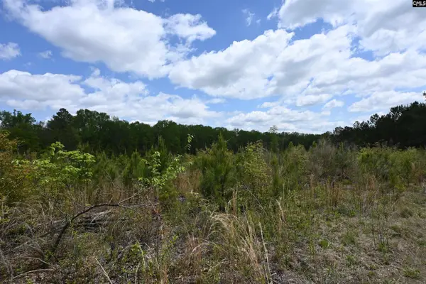0 Platt Springs Road, West Columbia, SC 29169