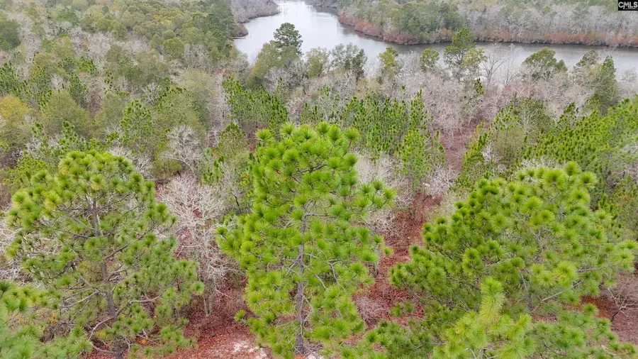 0 Browns Pond Road, Wagener, SC 29164 - #3