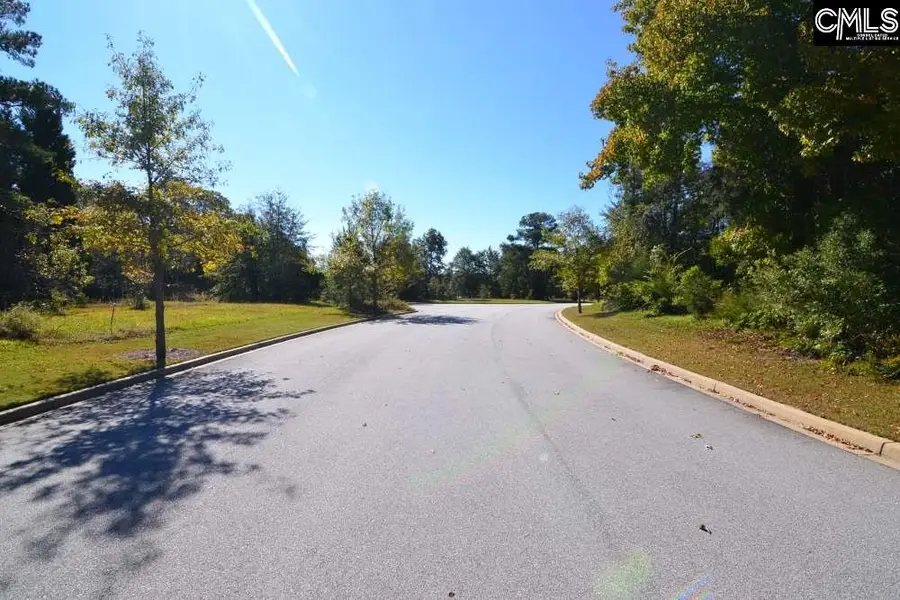 15 Blythe View Court #9, Blythewood, SC 29016 - #2