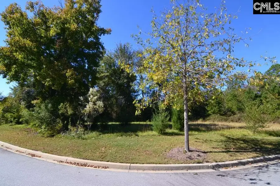 15 Blythe View Court #9, Blythewood, SC 29016 - #3