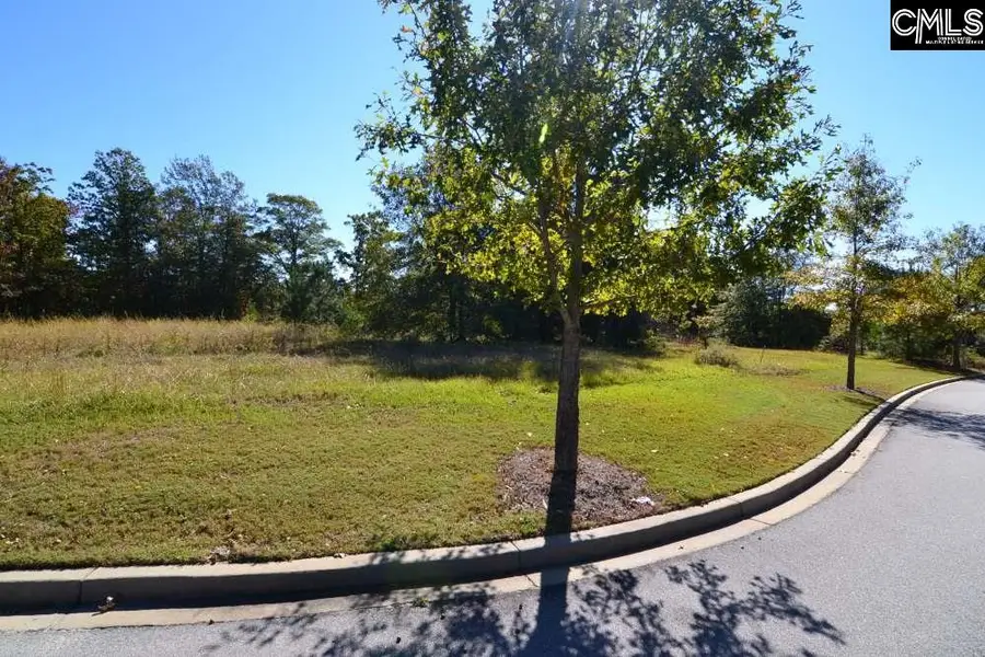 10 Blythe View Court #13, Blythewood, SC 29016 - #2