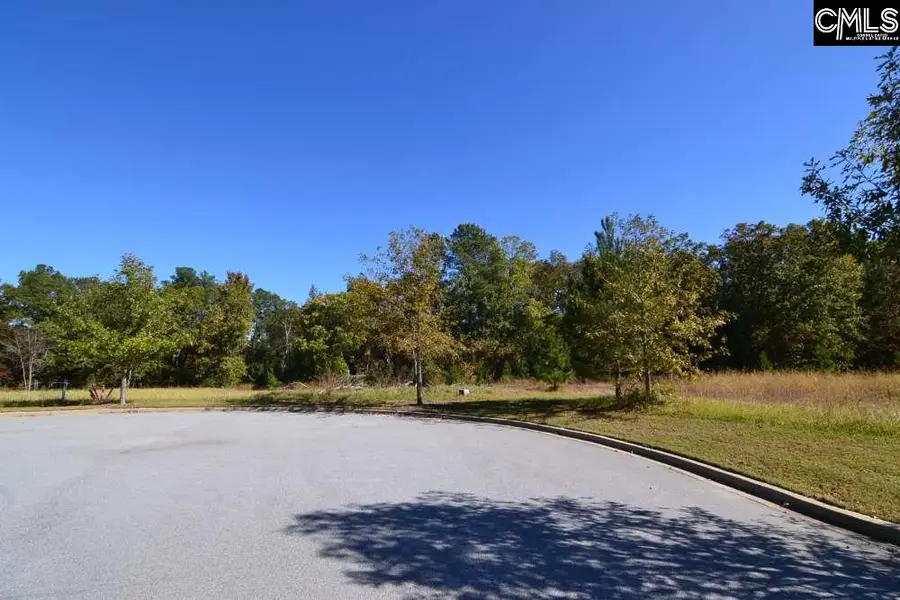 10 Blythe View Court #13, Blythewood, SC 29016 - #3