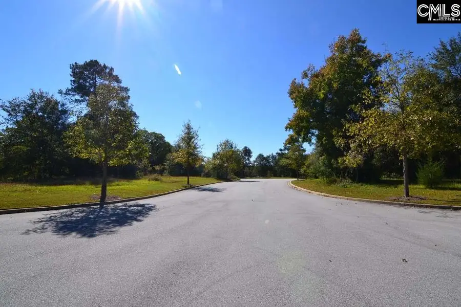 2 Blythe View Court #15, Blythewood, SC 29016 - #2