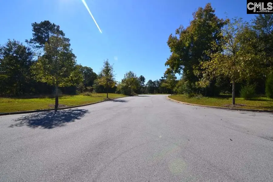 2 Blythe View Court #15, Blythewood, SC 29016 - #3