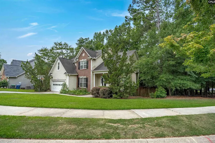 205 Winterberry Loop, Lexington, SC 29072 - #3