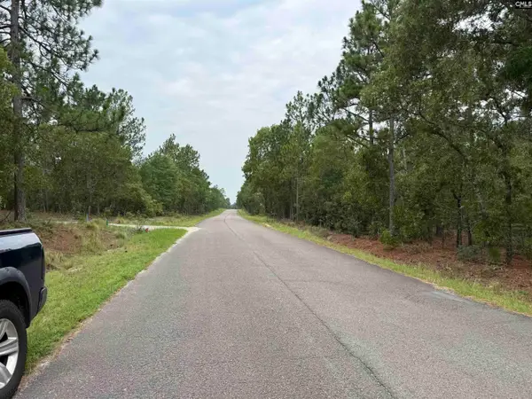 Near 615 Browns Pond Road, Wagener, SC 29164