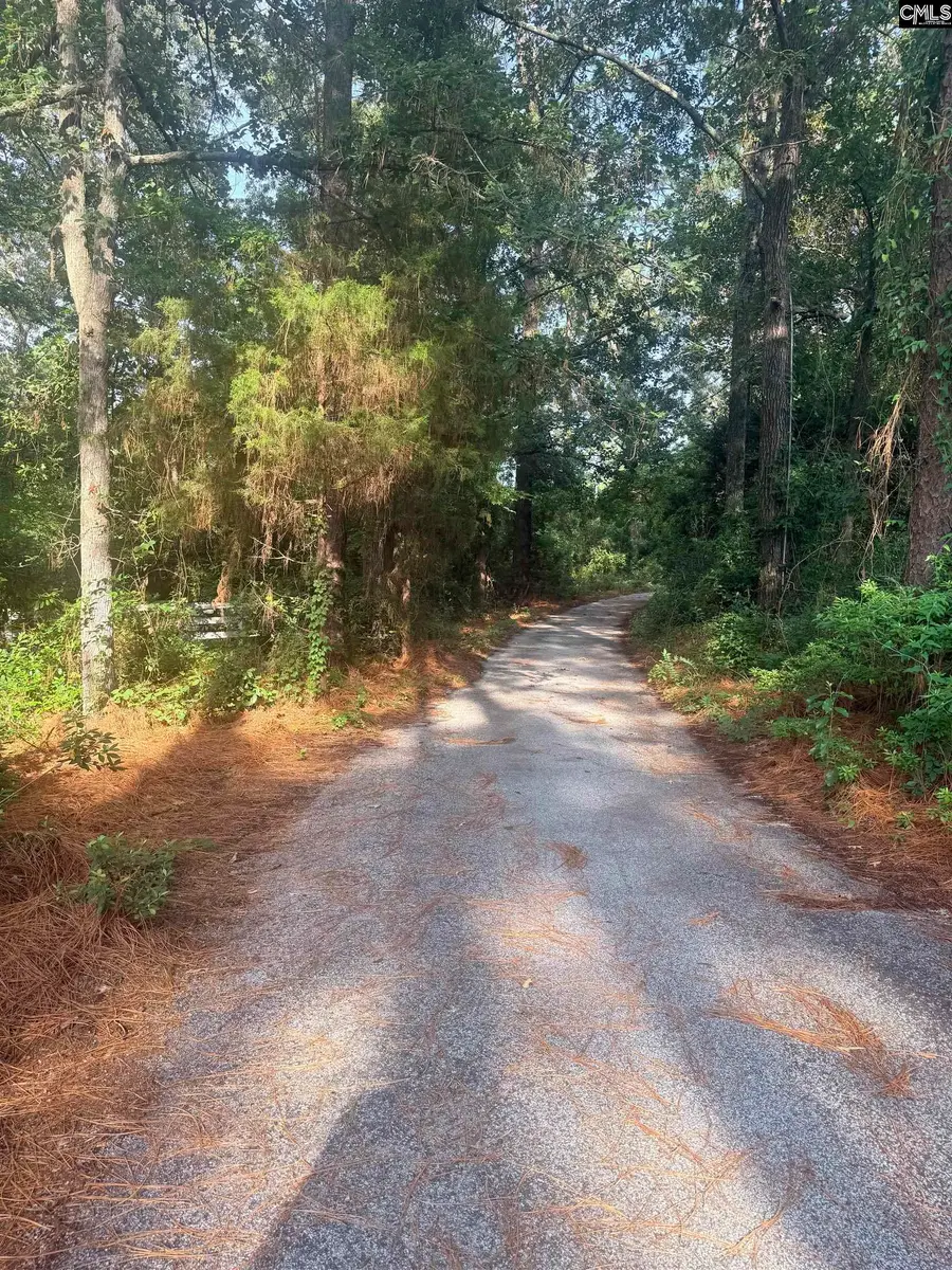 9339 Windsor Lake Boulevard, Columbia, SC 29223 - #2