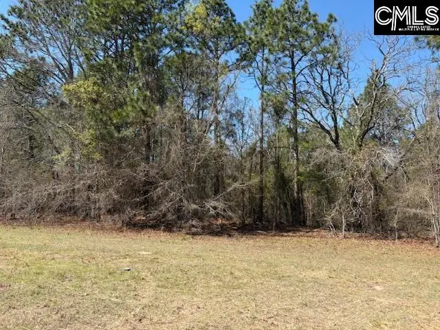 0 Marcellus Road, Leesville, SC 29070 - #1