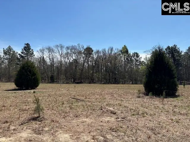 0 Marcellus Road, Leesville, SC 29070 - #3