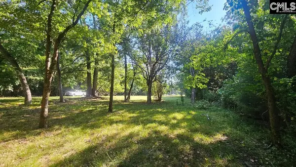 142 Crystal Creek Cr, Chapin, SC 29036
