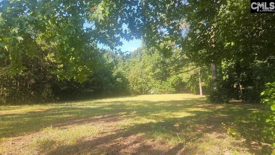 142 Crystal Creek Circle, Chapin, SC 29036 - #2