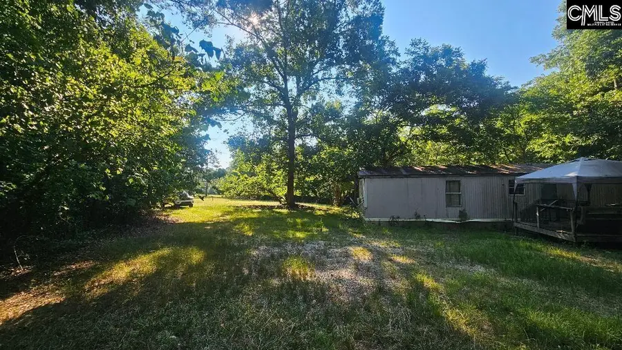 142 Crystal Creek Circle, Chapin, SC 29036 - #3