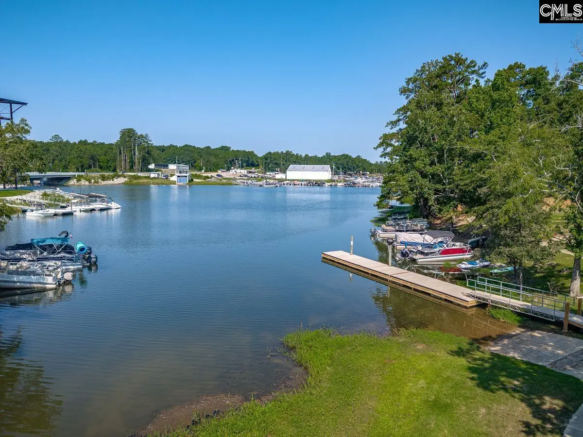 163 Marina Cove Drive, Gilbert, SC 29054 - #1