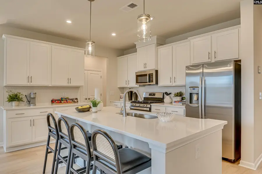 711 Top Line Street, Chapin, SC 29036 - #3