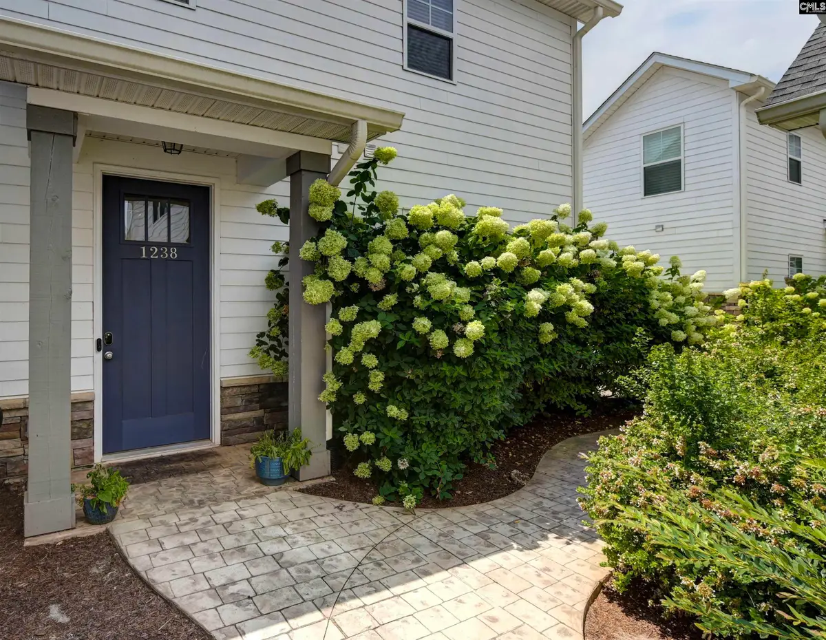 1238 Tributary, Lexington, SC 29072 - #1