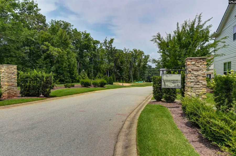1238 Tributary, Lexington, SC 29072 - #2