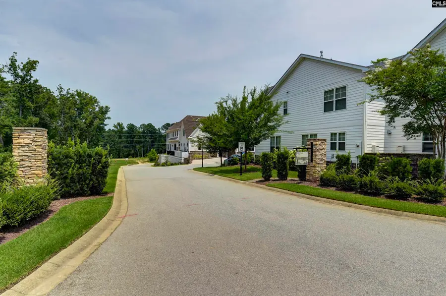 1238 Tributary, Lexington, SC 29072 - #3
