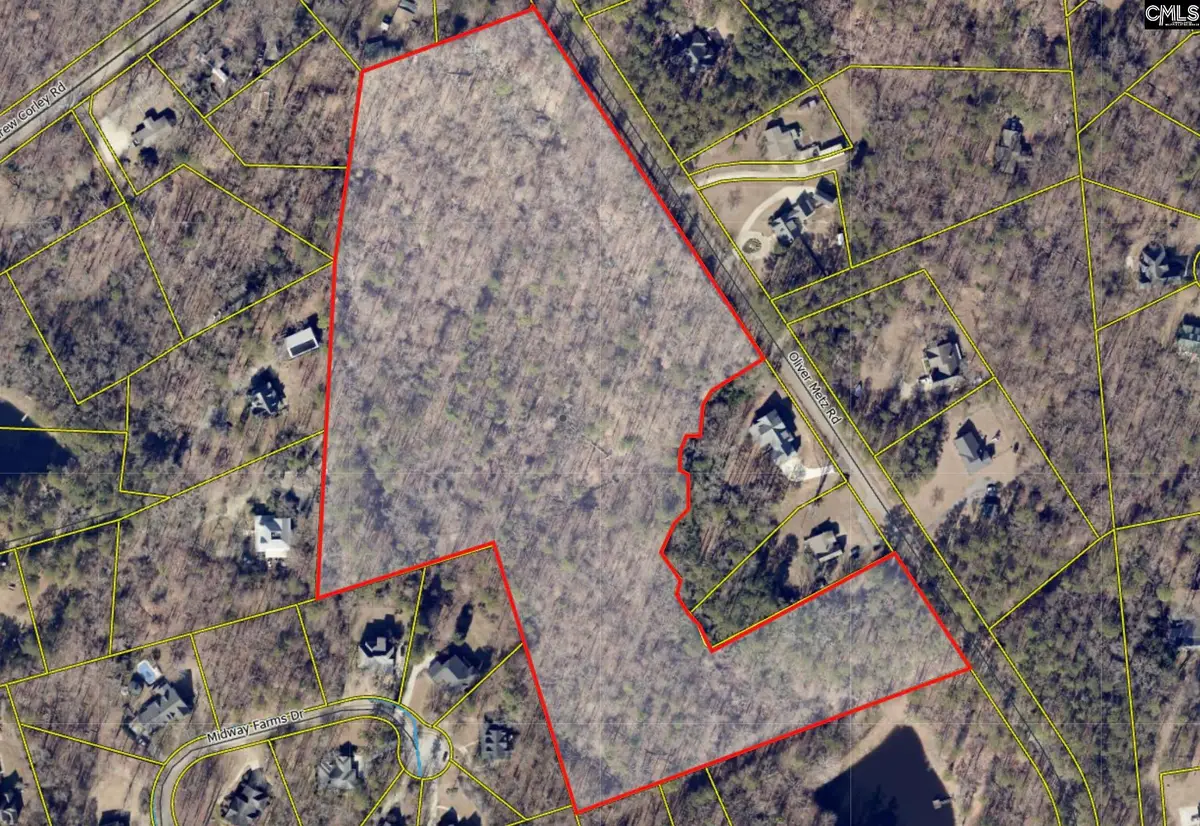 355 Oliver Metz Road, Lexington, SC 29072 - #1