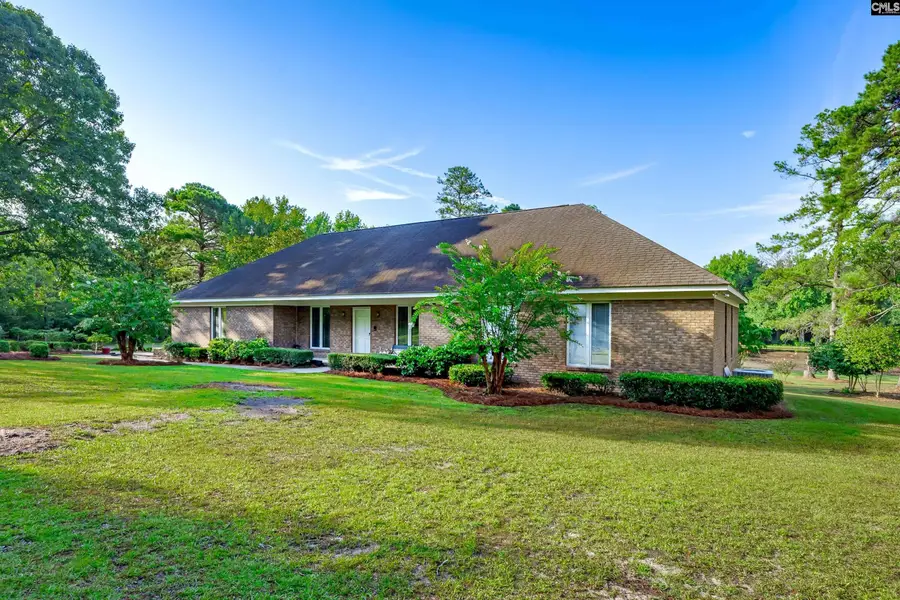 339 Clermont Lakes Drive, Lexington, SC 29073 - #3