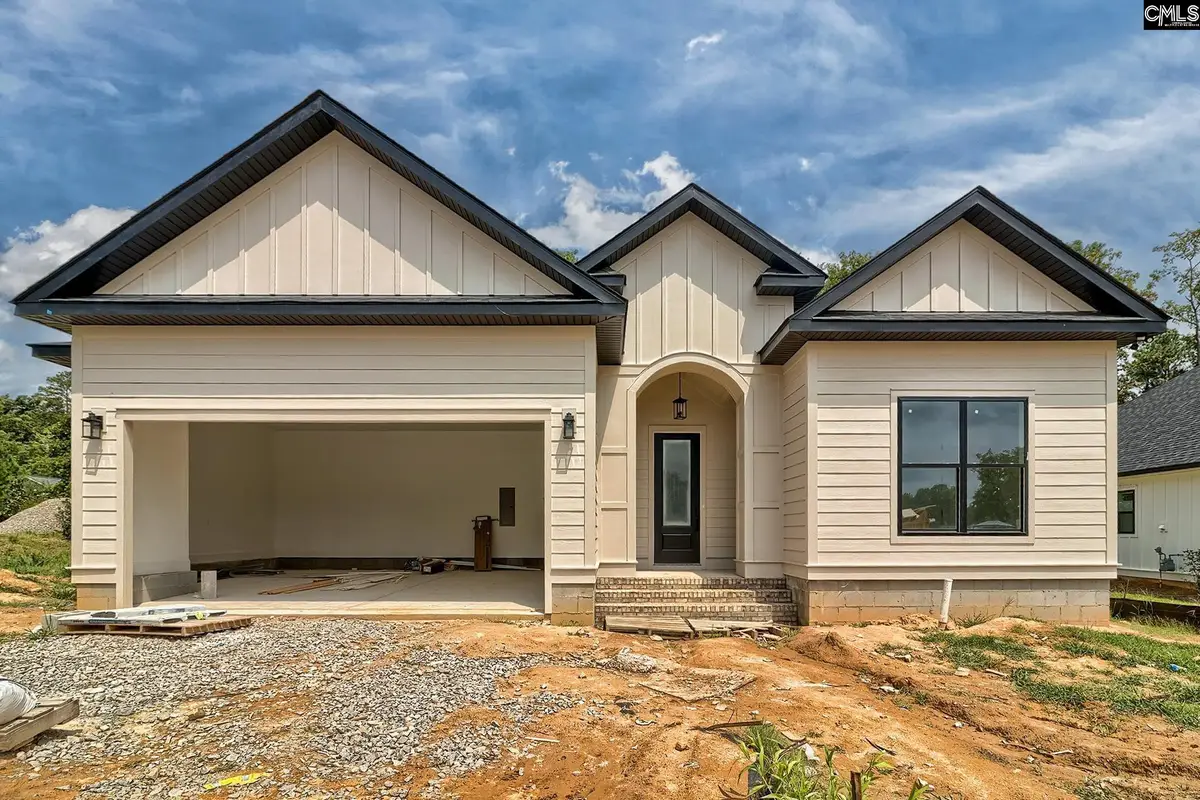 858 Elms Spinney Lane, Chapin, SC 29036 - #1